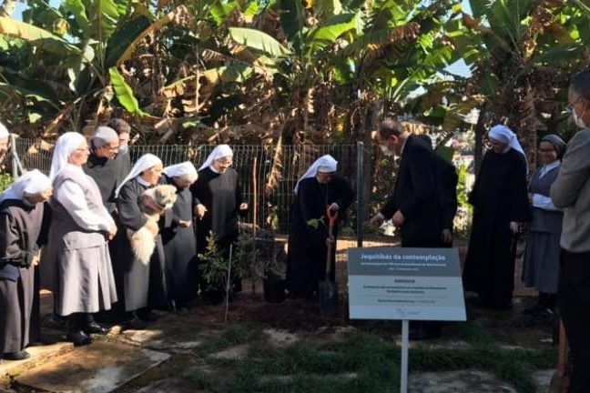 plantio-arvores-mosteiro-bh_arquidiocese-de-bh Dom Walmor e religiosas beneditinas durante plantio das mudas