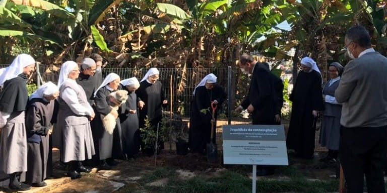 plantio-arvores-mosteiro-bh_arquidiocese-de-bh Dom Walmor e religiosas beneditinas durante plantio das mudas