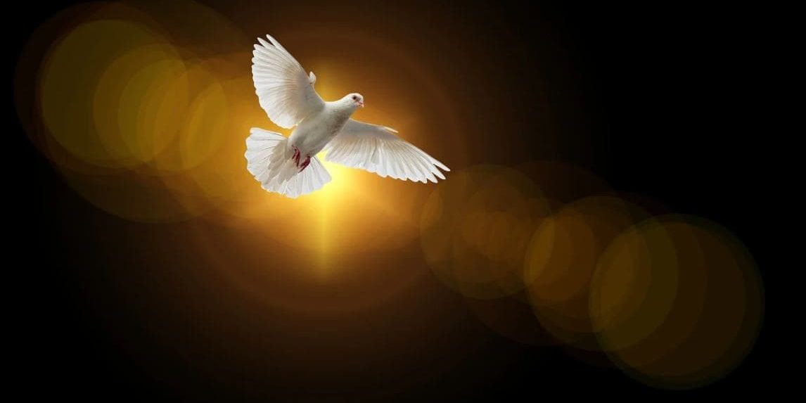 espirito-santo Pomba do Espírito Santo