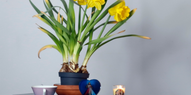 shutterstock_2183480221