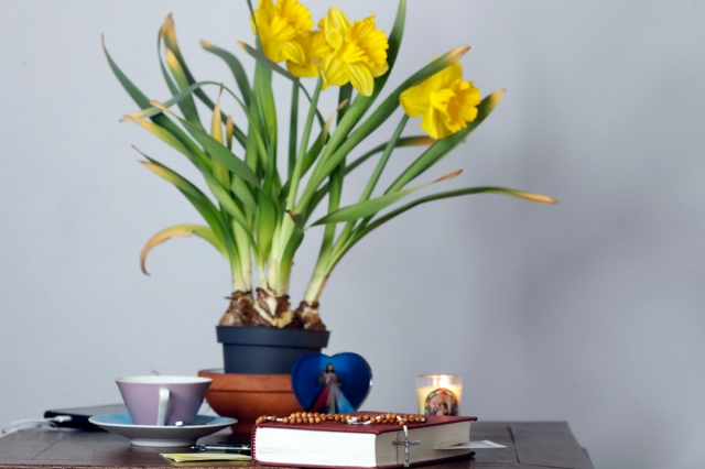 shutterstock_2183480221