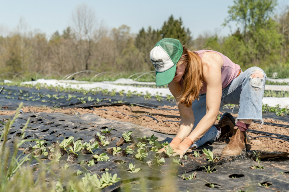 agricultora-cultivo-alimentos-_-foto-Zoe-Schaeffer-via-Unsplash-1536×864
