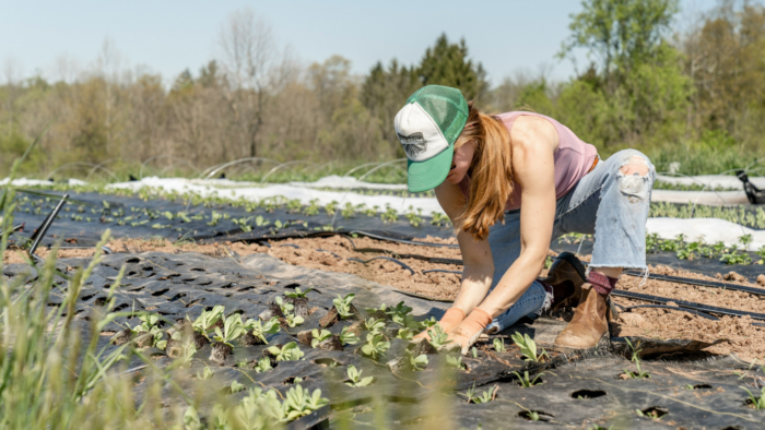 agricultora-cultivo-alimentos-_-foto-Zoe-Schaeffer-via-Unsplash-1536×864