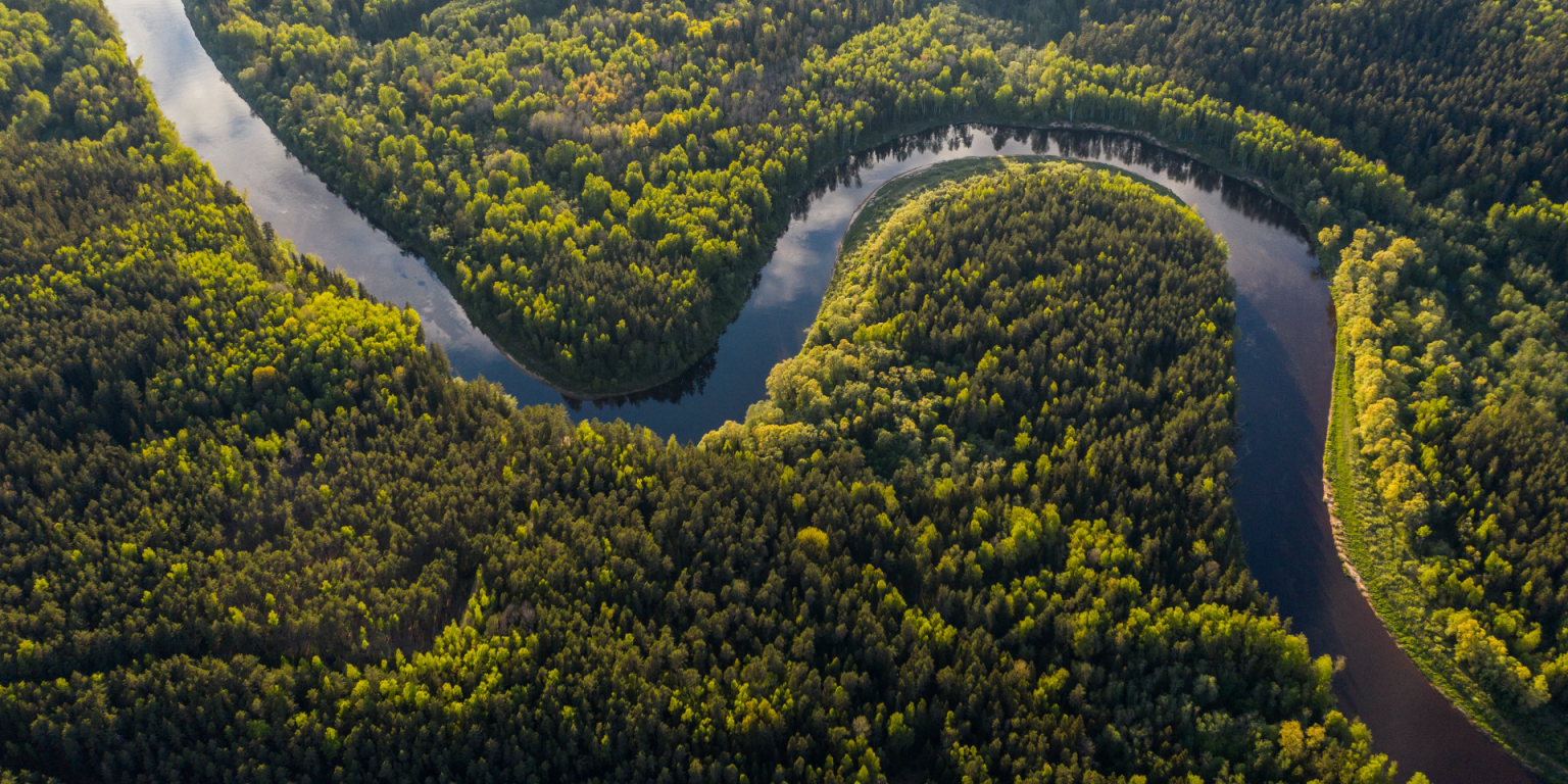 amazonia-natureza-_-Foto-de-Ivars-Utinans-na-Unsplash-1536×864