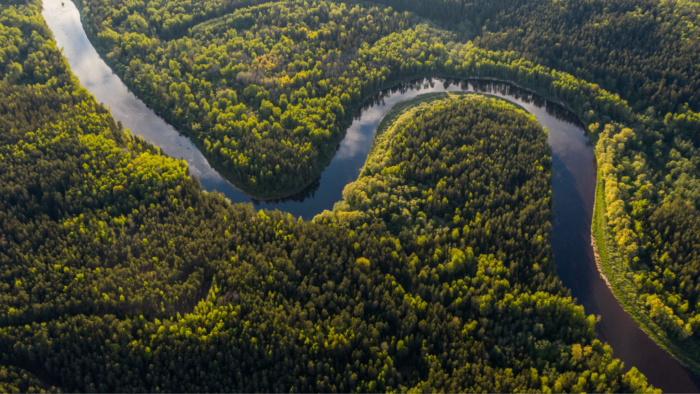 amazonia-natureza-_-Foto-de-Ivars-Utinans-na-Unsplash-1536×864