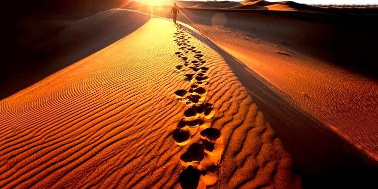 cq5dam.thumbnail.cropped.750.422 (1)