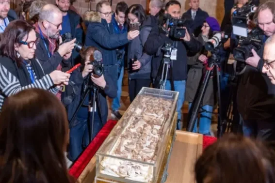 whatsapp-image-2026-02-23-at-08.40.02-699c67ef1568d