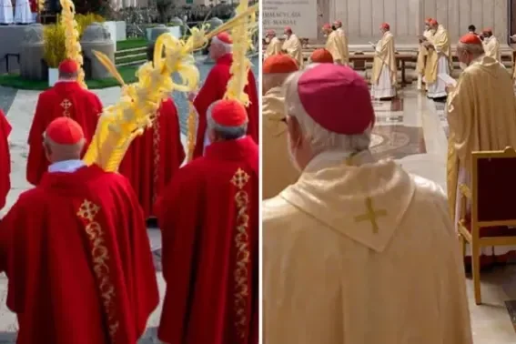 misas-semana-santa-colores-liturgicos-190324