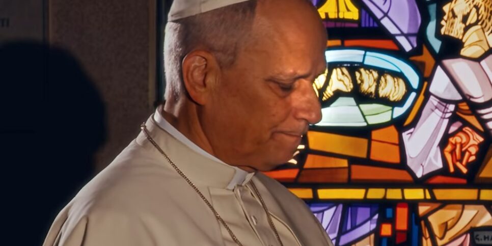 papa