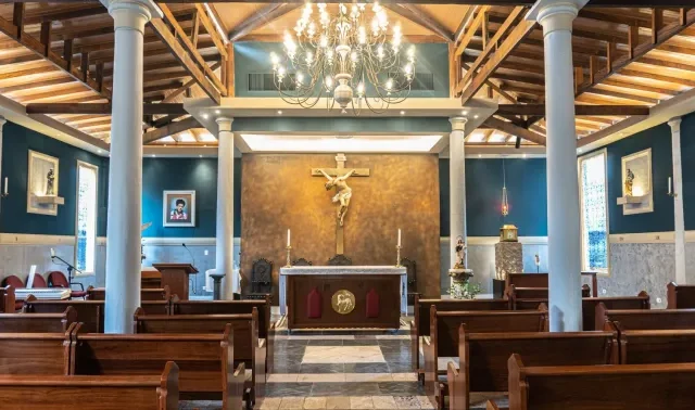 Assembleia Geral da CNBB decide mudar dia de são Carlo Acutis para 13 de outubro no Brasil