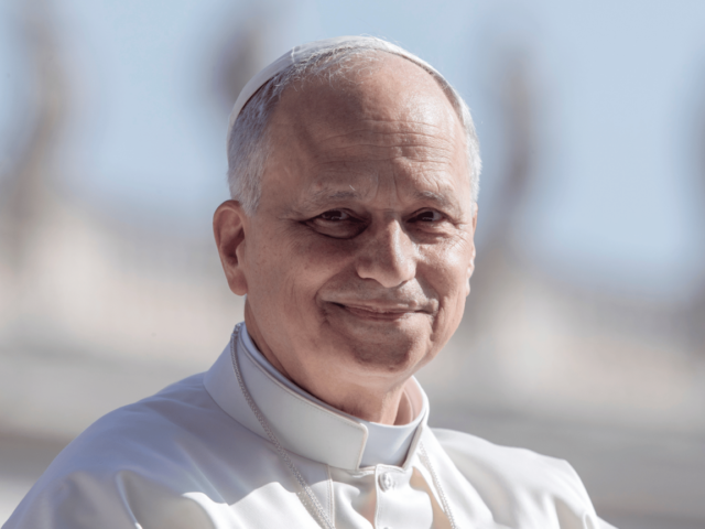 Papa: a santidade da vida é a forma mais convincente da beleza da fé