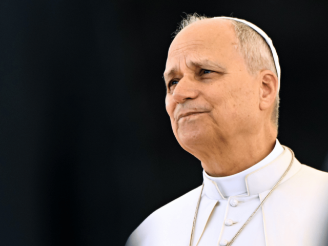 Fé e ciência não são inimigas, lembra Papa em audiência no Vaticano