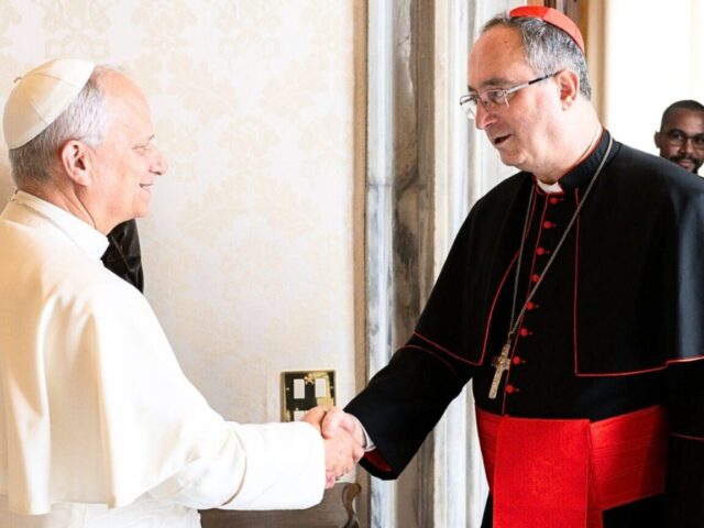 Papa tem grande interesse e proximidade com Igreja no Brasil, diz cardeal