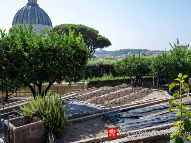 Horta do Vaticano passa a ser 100% orgânica
