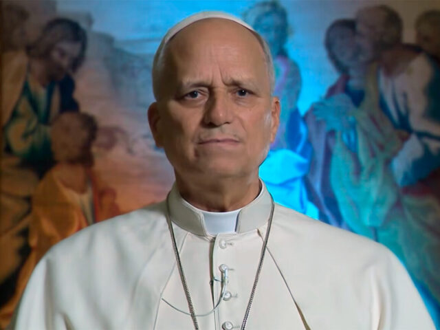 Papa Leão: temos de reconstruir a paz, não preparar outras guerras